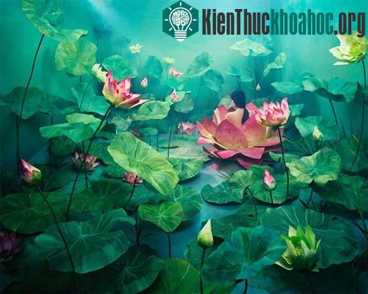 Thế giới thần tiên và những câu chuyện trong ảnh đẹp ngỡ ngàng ảnh 0