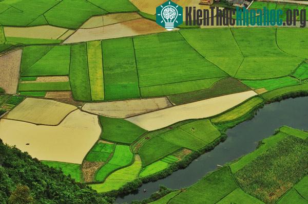 Chiêm ngưỡng vẻ đẹp Bắc Sơn thời điểm sắp vào vụ mùa