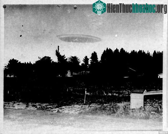 "Mùa đông năm 1951" là tên một ảnh về vật thể hình đĩa bay mà ai đó chụp tại New Zealand. Trong khi một số nhiếp ảnh gia khẳng định đây là đĩa bay thì Không quân Mỹ (USAF) cho rằng nó chỉ...