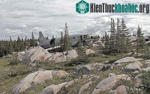 Trong ảnh là máy bay vận tải Curtis C-46 Commando bị bỏ lại ở thành phố Manitoba, Canada. Chuyến bay "kết thúc" một cách kỳ diệu trên mặt đất, sau cú hạ cánh khẩn cấp. Curtiss C-46 Comman...