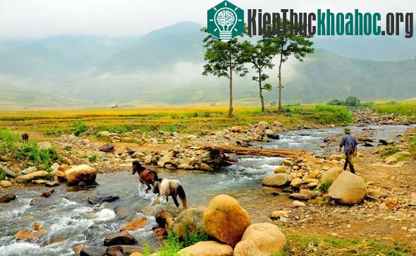 Tác phẩm "Sáng sớm ở thung lũng Lìm Mông" chụp tại thung lũng Lìm Mông dưới chân đèo Khau Phạ lúc sáng sớm. Cây cầu tre trong ảnh giờ không còn nữa, thay vào đó là một cây cầu bê tông vữn...