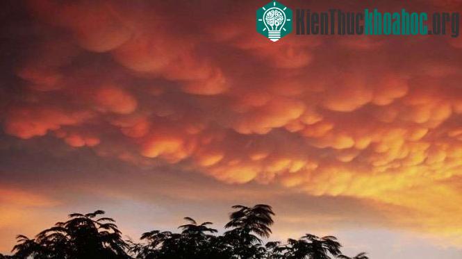 Mây "vảy rồng" (trong khí tượng học gọi là mây Mammatus) - (Ảnh: GettyImages)