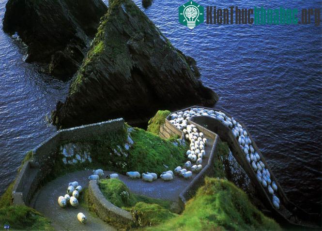 Ảnh: wallpaperweb.org