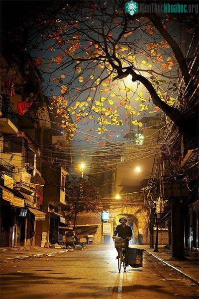 Tiếng rao trong đêm đã đi vào nỗi nhớ của những người dân xa xứ...