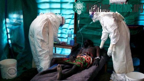 Cụ thể, đất nước Liberia có số lượng người tử vong lớn nhất với 54 người. Trong khi đó, 17 người chết ở Sierra Leone và 14 người ở Guinea. Hiện chính phủ Liberia đã áp đặt lệnh giới nghiêm từ 21 gi...