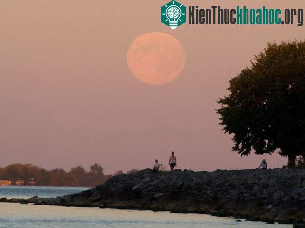 Ở Kingston, Canada - (Ảnh: The Canadian Press)