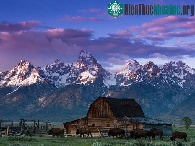 Cảnh đẹp yên ả ở công viên quốc gia Grand Teton, Wyoming, Mỹ.
