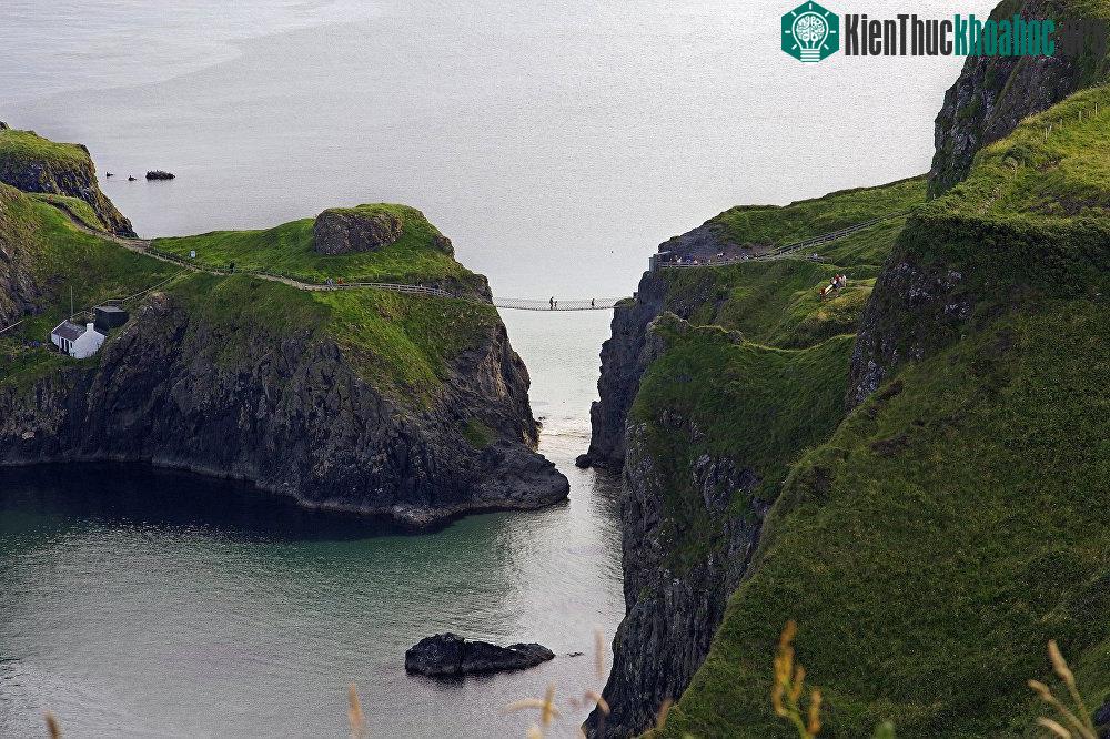 Cầu Carrick-a-Rede nối liền các phần của hòn đảo tí hon Carrickarede.
