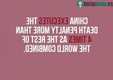 Trung Quốc thực thi án tử hình nhiều hơn 4 lần so với phần còn lại của thế giới cộng lại.