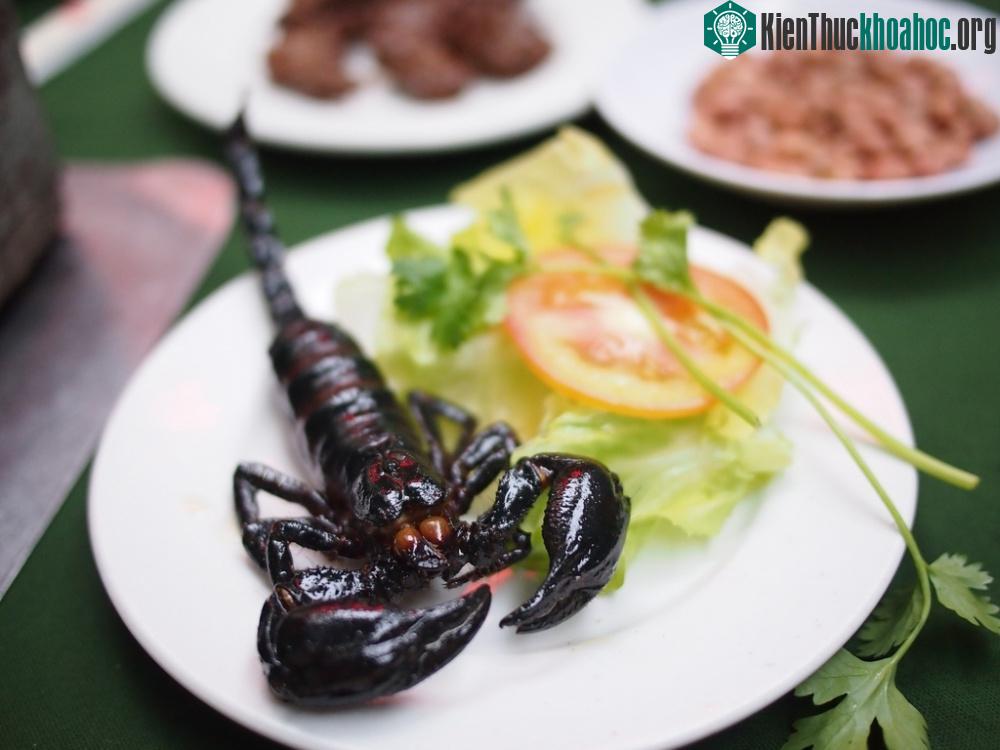 Bọ cạp chiên, Bắc Kinh, Trung Quốc: Hẳn nhiều du khách đã phải lấy hết can đảm mới dám cắn thử một miếng bọ cạp chiên. Đây được coi là một món đặc sản, thường được bày bán tại các chợ đêm của Bắc K...