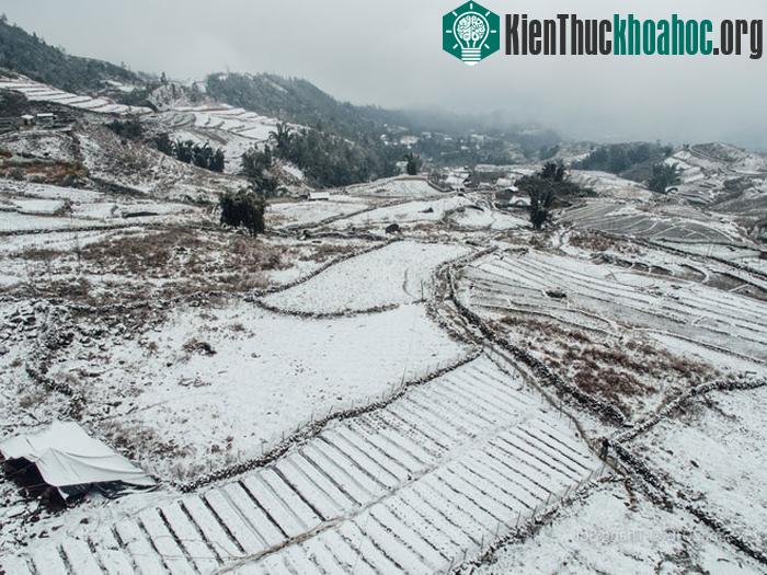 Những thửa ruộng bậc thang khi tuyết phủ trắng cuối tuần qua.