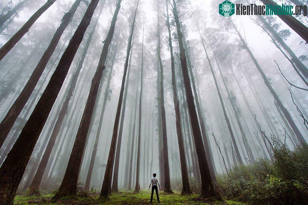 Bộ ảnh con người nhỏ bé trước thiên nhiên hùng vĩ ảnh 1
