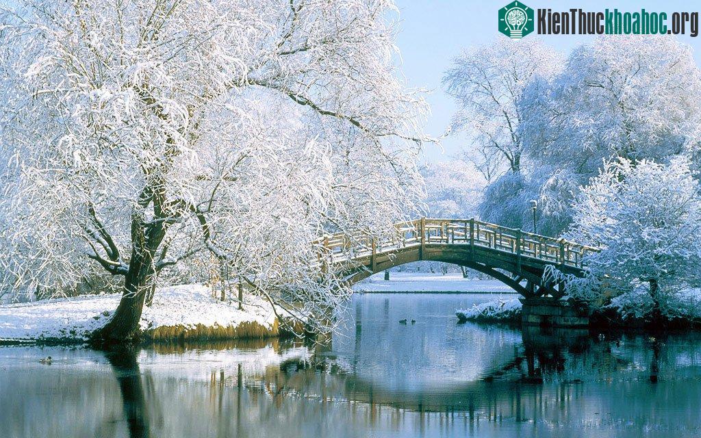 Ngắm những hình ảnh tuyết rơi mùa đông đẹp nhất trên khắp thế giới ảnh 1