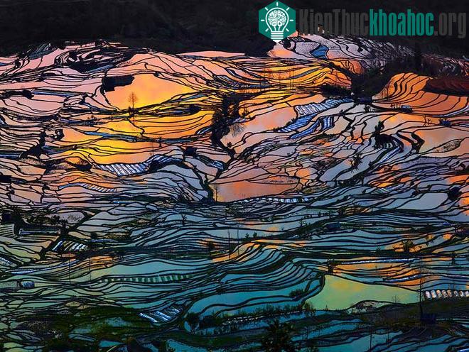 Sững sờ trước những ruộng bậc thang đẹp nhất trên khắp thế giới- ảnh 2