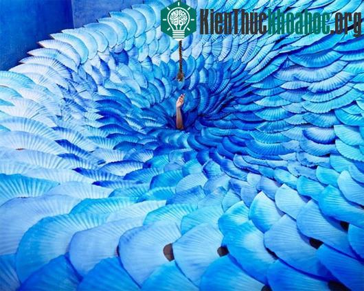 Thế giới thần tiên và những câu chuyện trong ảnh đẹp ngỡ ngàng ảnh 1