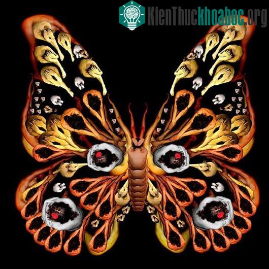 Ảnh nghệ thuật tuyệt đẹp từ người mẫu khỏa thân ảnh 1