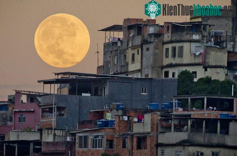 Nó không hề khiến bạn phát điên. Nhiều nghiên cứu đã chứng minh rằng Siêu trăng không hề ảnh hưởng đến hành vi của con người. Trăng tròn chẳng hề khiến bệnh nhân nhập viện thần kinh tăng, không khi...