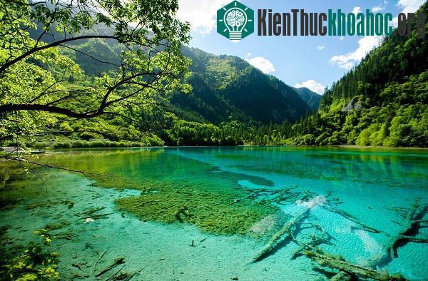 Cảnh đẹp thần tiên của Trung Quốc trên báo Anh- ảnh 11