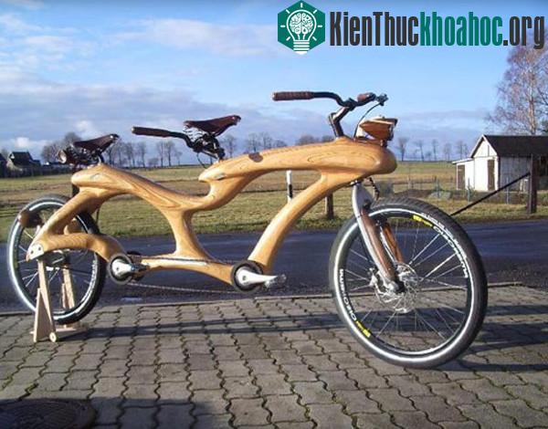 Xe đạp đôi thân gỗ lạ mắt.