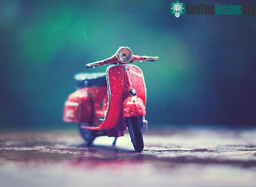 Một đêm giữa hè