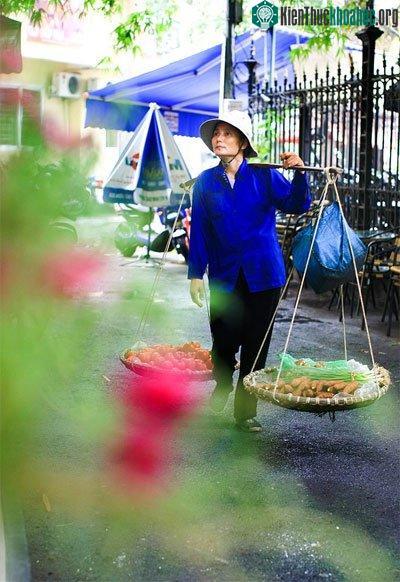 Đây cũng là một nghề, một công việc mưu sinh như bao nghề khác. Người ta đi bán hàng rong vì vốn ít, cơ động... Bán hàng rong lãi không nhiều, trông c...