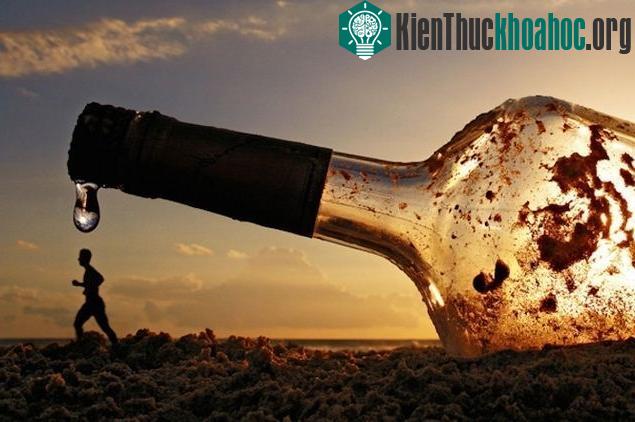 Thế giới của người tí hon.