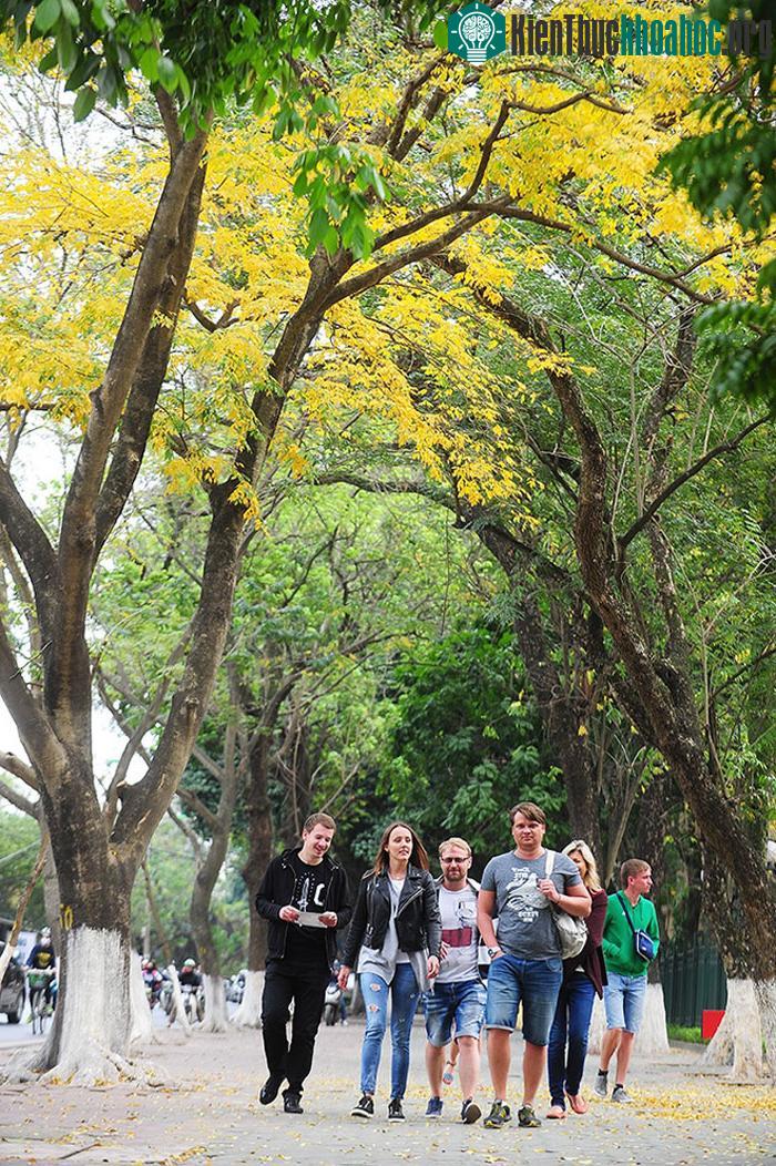 Đây cũng là hình ảnh mà biết bao người con chốn Hà thành cũng như bất kỳ du khách trong và ngoài nước nào từng tới thăm sẽ nhớ mãi.