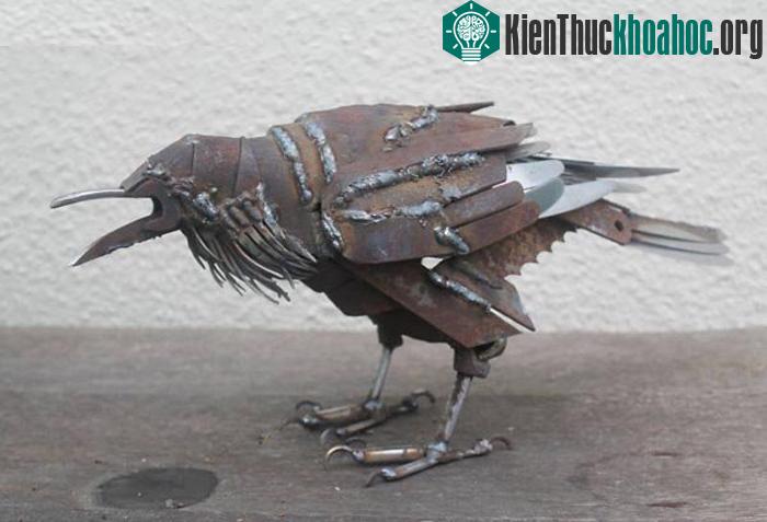 Động vật từ phế thải