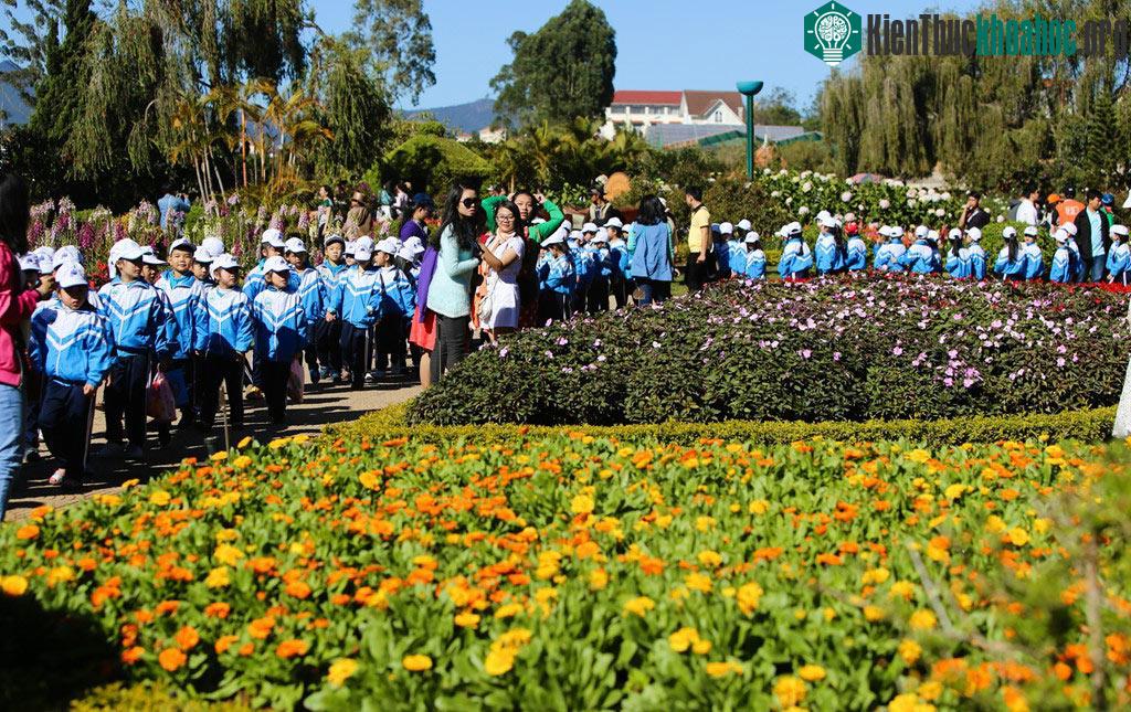 Nhân dịp này, nhiều trường học thủ tổ chức cho học sinh tham quan.