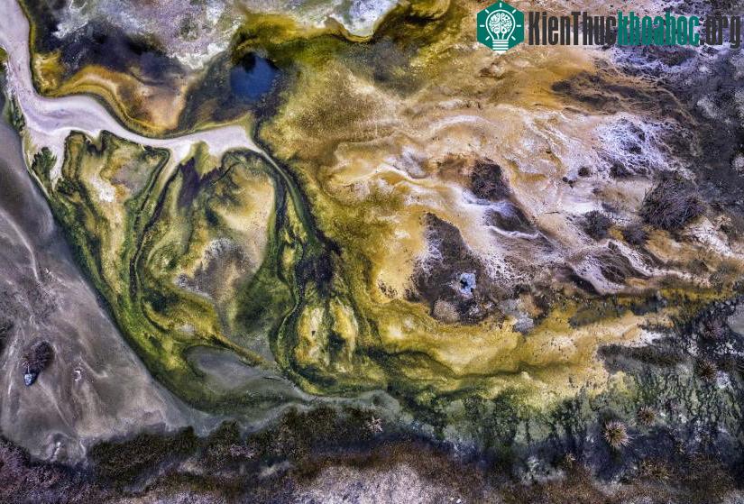 Tảo và cảnh quan địa nhiệt ở thung lũng núi lửa gần Rororua, New Zealand.