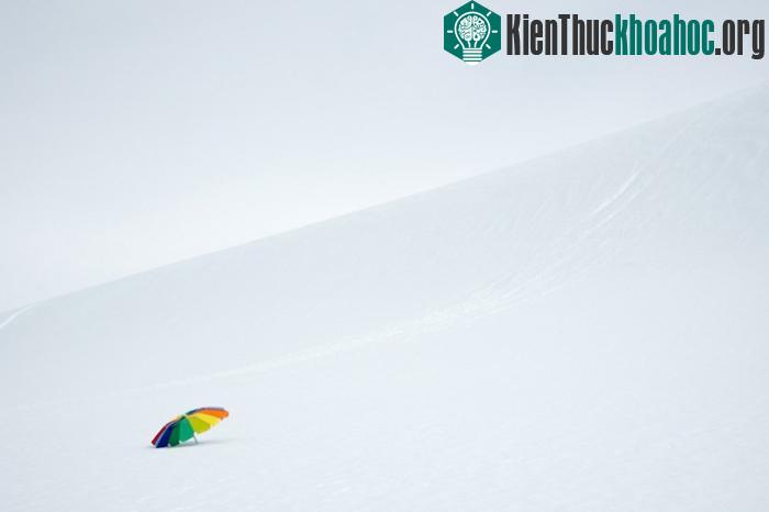 100 bức ảnh "đẹp khó tin" chưa từng qua photoshop- ảnh 11