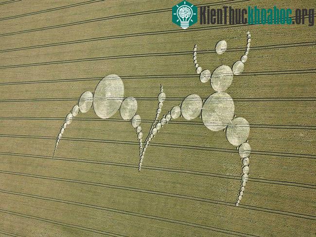 Những vòng tròn bí ẩn trên cánh đồng- ảnh 11