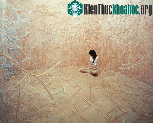 Thế giới thần tiên và những câu chuyện trong ảnh đẹp ngỡ ngàng