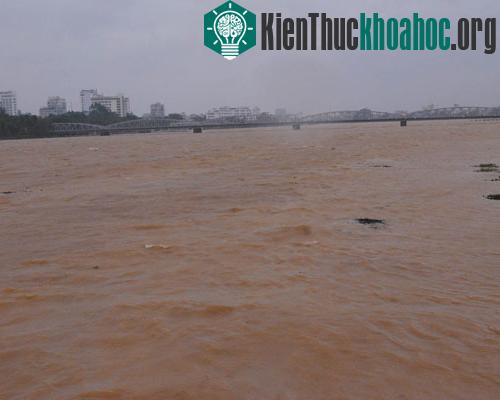Nước sông Hương đang lên rất nhanh.