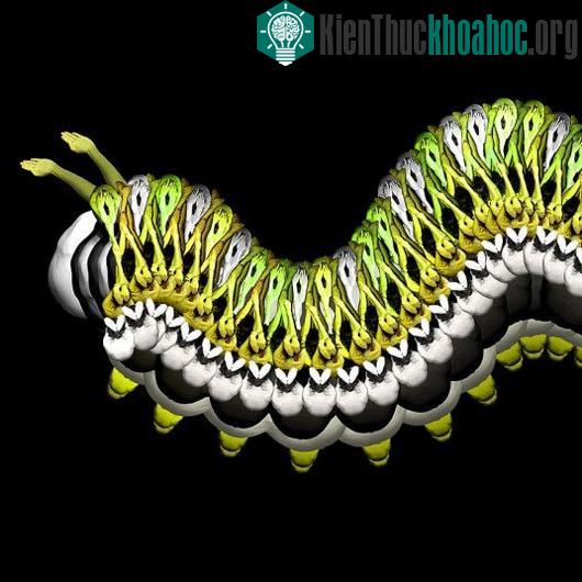 Ảnh nghệ thuật tuyệt đẹp từ người mẫu khỏa thân ảnh 11