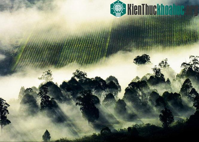 Mây thung lũng. Ảnh chụp ở Mansfield, Victoria, Úc - (Ảnh: Joel Spooner)