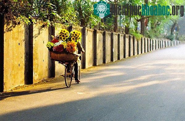 Bộ ảnh tuyệt đẹp về "Hà Nội - Những gánh hàng rong"