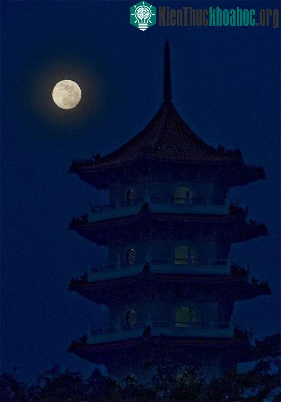 Ở Singapore - (Ảnh: news.cn)