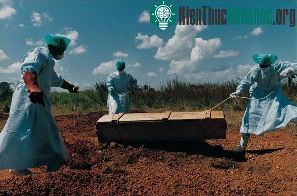 Hành trình virus Ebola phá hoại cơ thể người trong bộ hình ám ảnh- ảnh 12