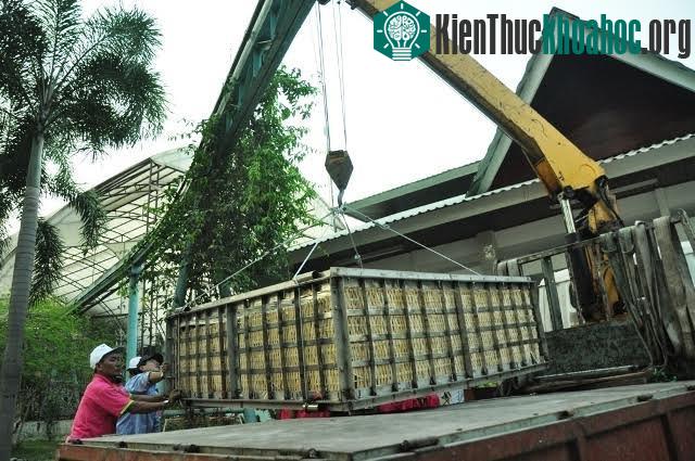 Bánh thành phẩm có diện tích 2,6m2, cao 0,6m phải nhờ đến xe cẩu di chuyển đi.