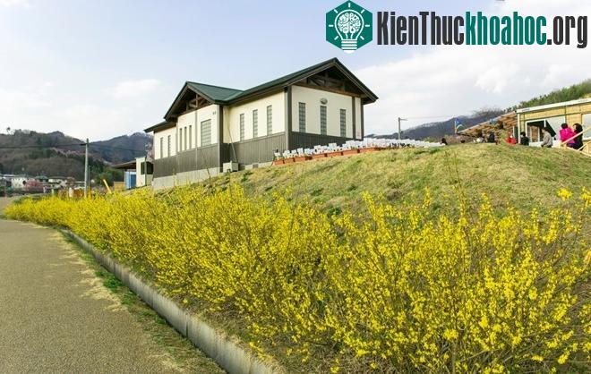 Fukushima là một nơi cách đây 5 năm đã trải qua con sóng thần khủng khiếp, nay đã hồi sinh nhờ bao cố gắng của người dân và chính phủ Nhật. Tới đây bạ...