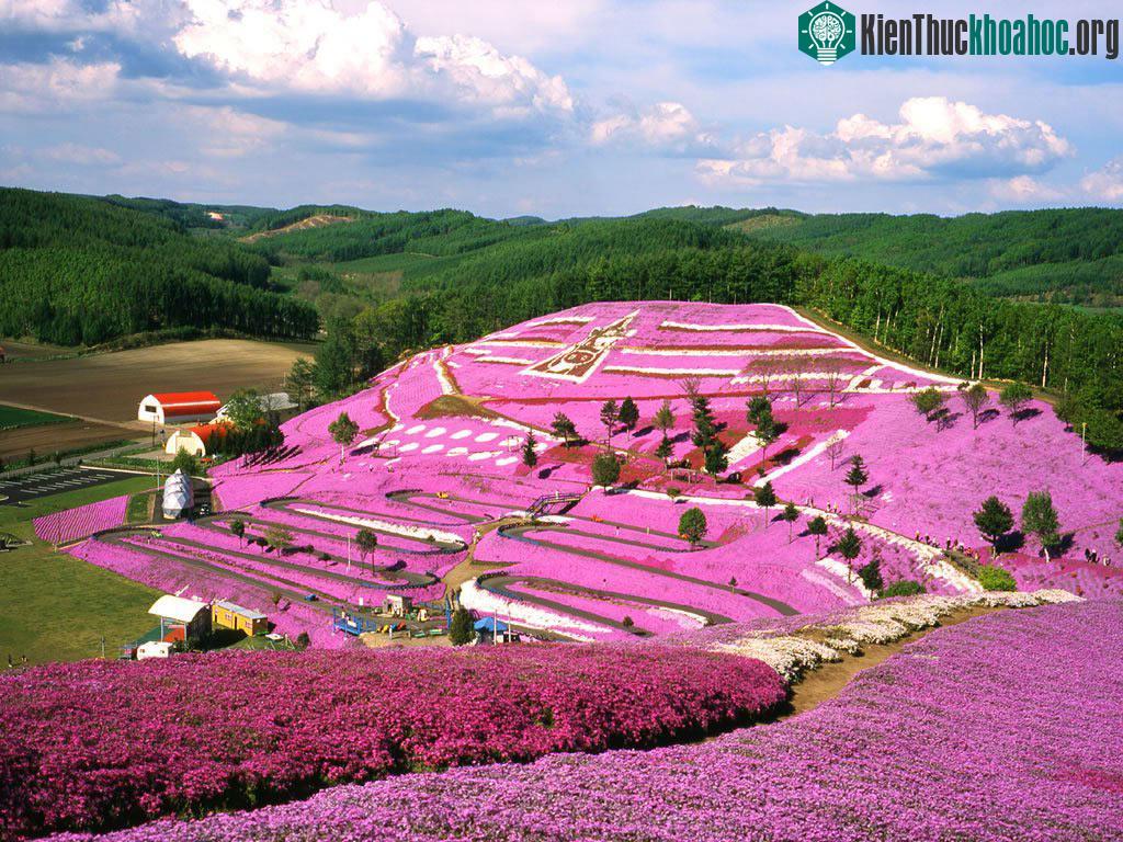 Công viên Takinoue, Nhật Bản