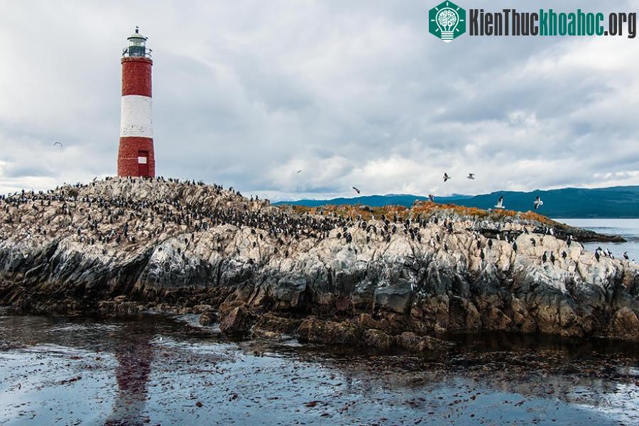 Beagle Channel, Argentina