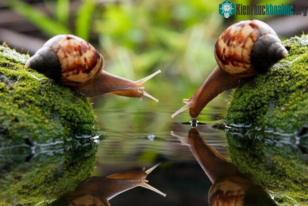 Đẹp như tranh vẽ!