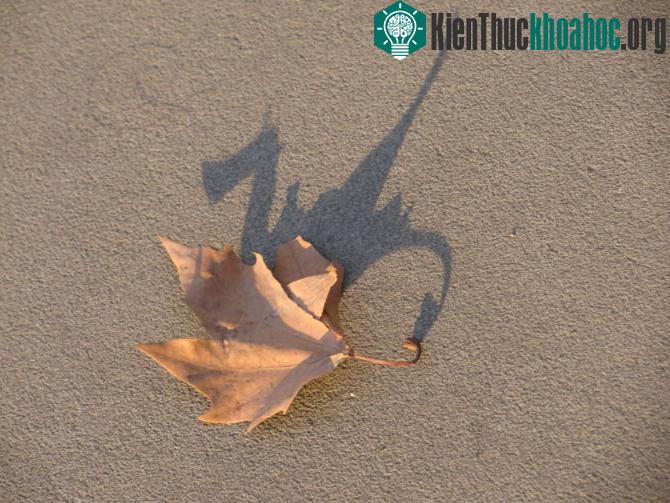 100 bức ảnh "đẹp khó tin" chưa từng qua photoshop (phần 4)- ảnh 12