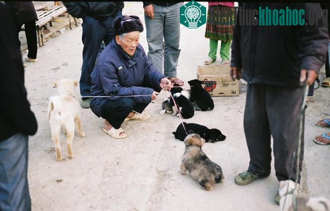 Nắng dát vàng Hà Giang những ngày đầu đông