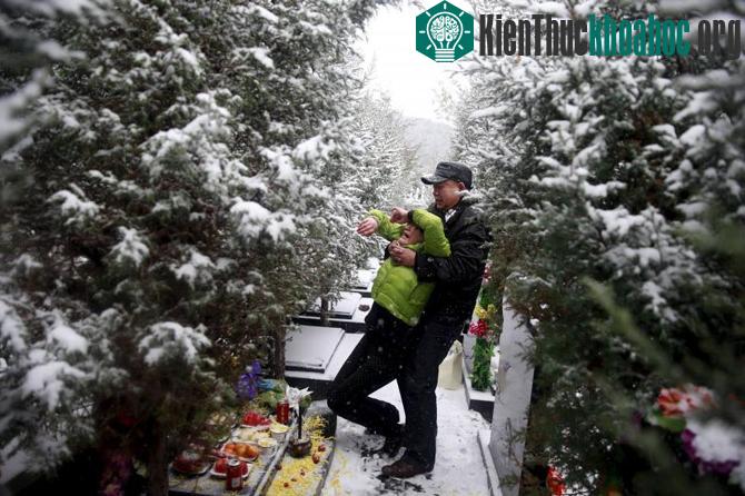 Những hình ảnh khó quên năm 2015