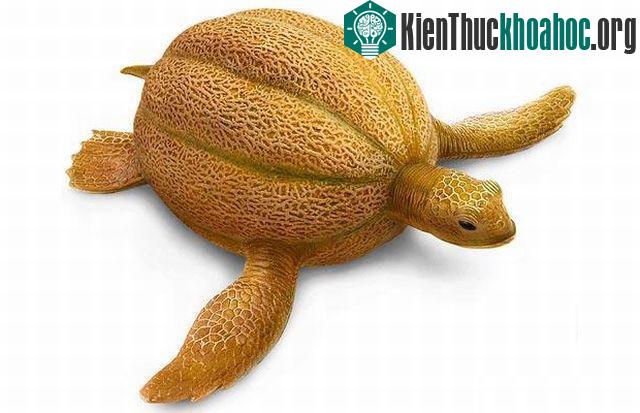 Những hình ảnh ngộ nghĩnh từ động vật và thực vật- ảnh 12