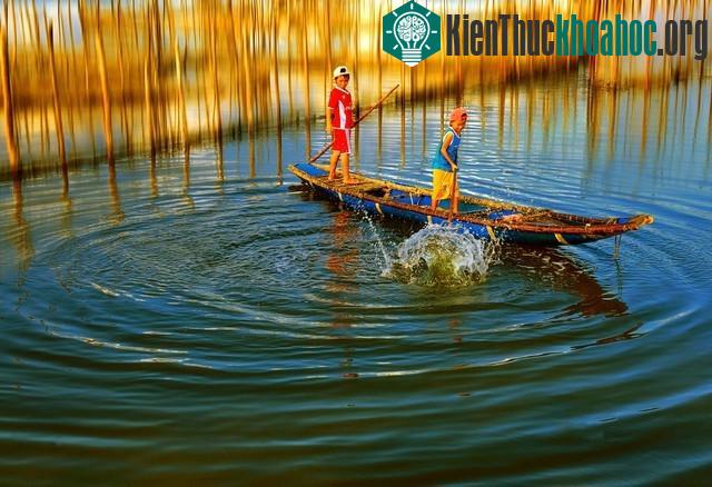 Vẻ đẹp mê hoặc trời nước đầm phá Việt Nam