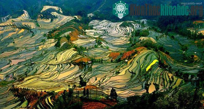 Sững sờ trước những ruộng bậc thang đẹp nhất trên khắp thế giới- ảnh 12